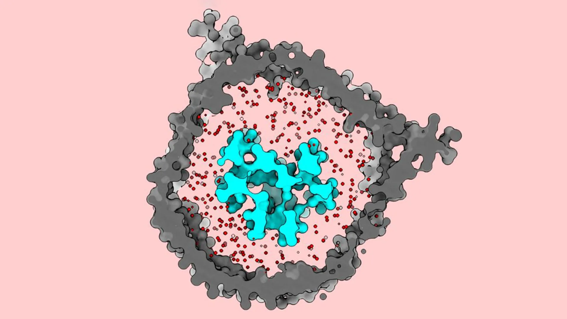 A hidden T cell switch could make cancer immunotherapy work for more people